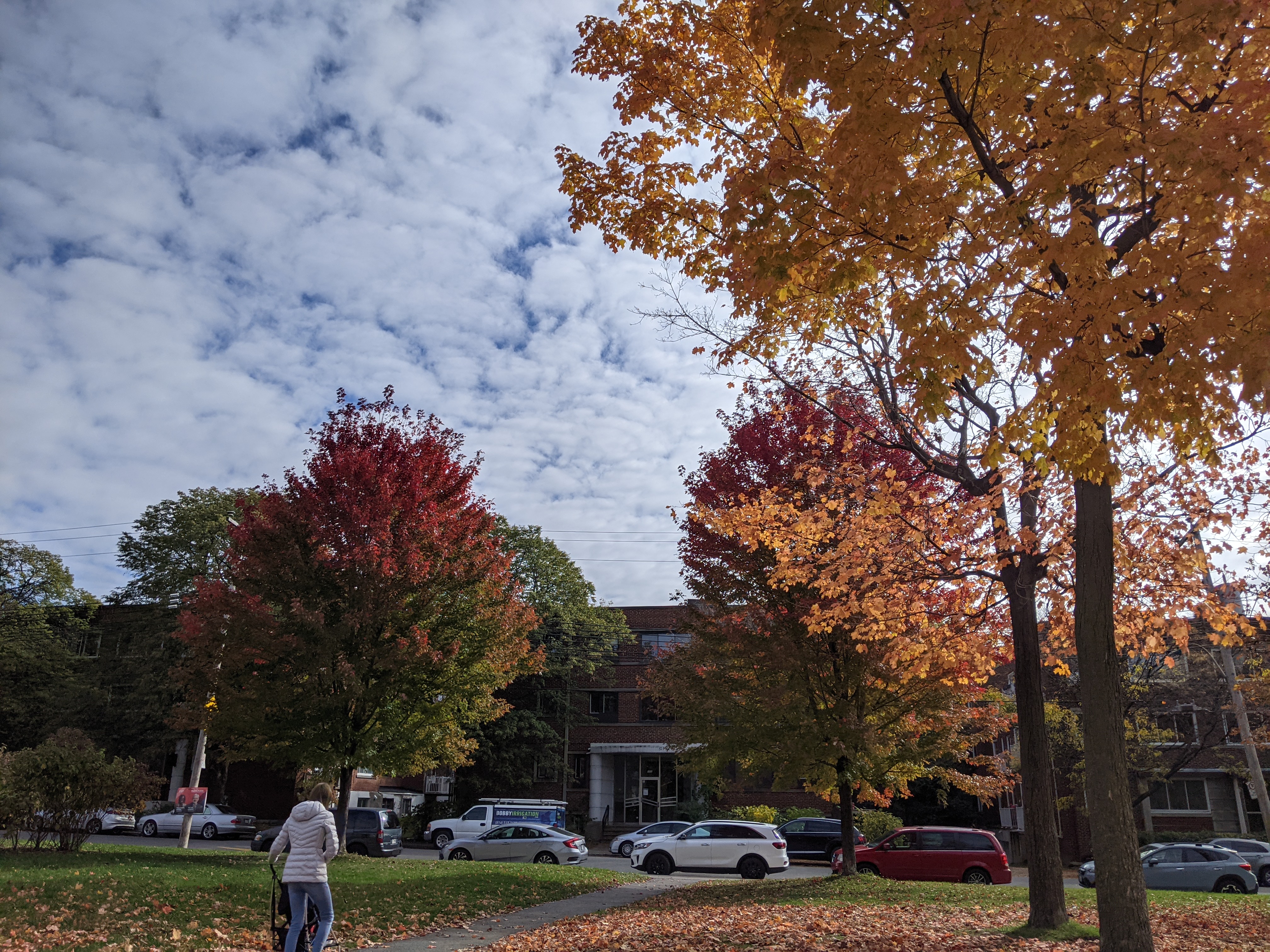 moving to Québec autumn.jpg